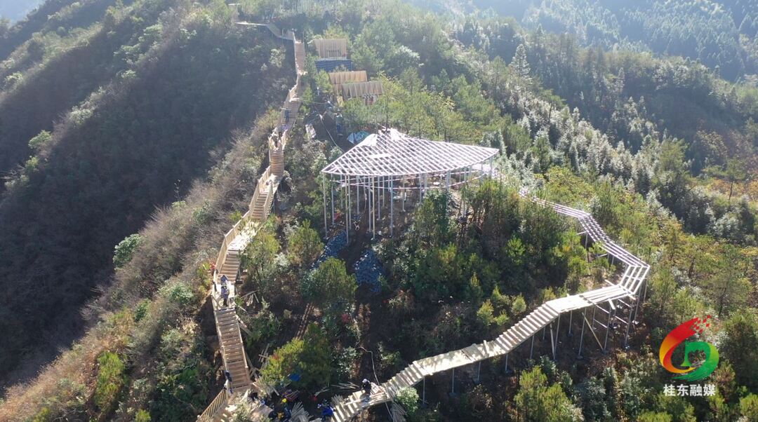 一天一个样！我县“两个基地”建设按下“快进键”