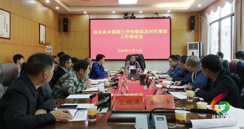 我县召开乡镇国土空间规划及村庄规划工作推进会