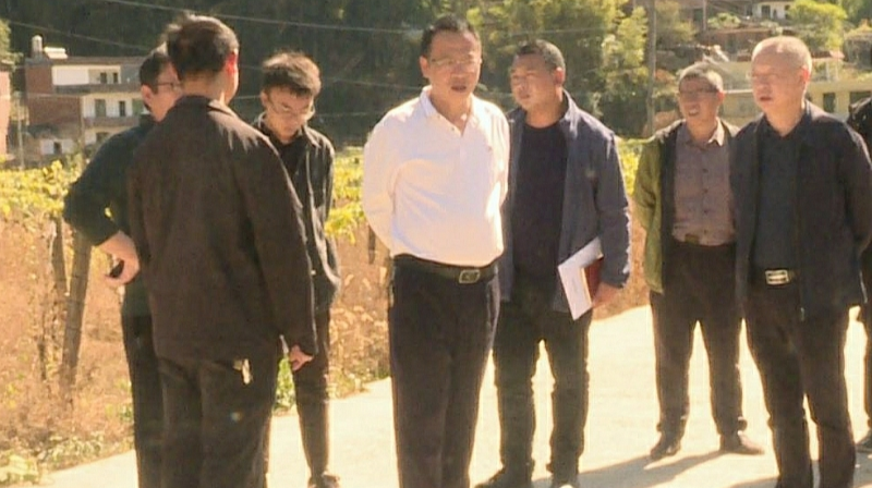 伍志平调研侃大村乡村振兴等工作