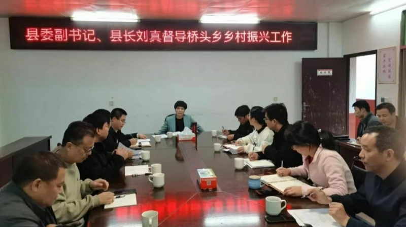 刘真调研乡镇乡村振兴等工作