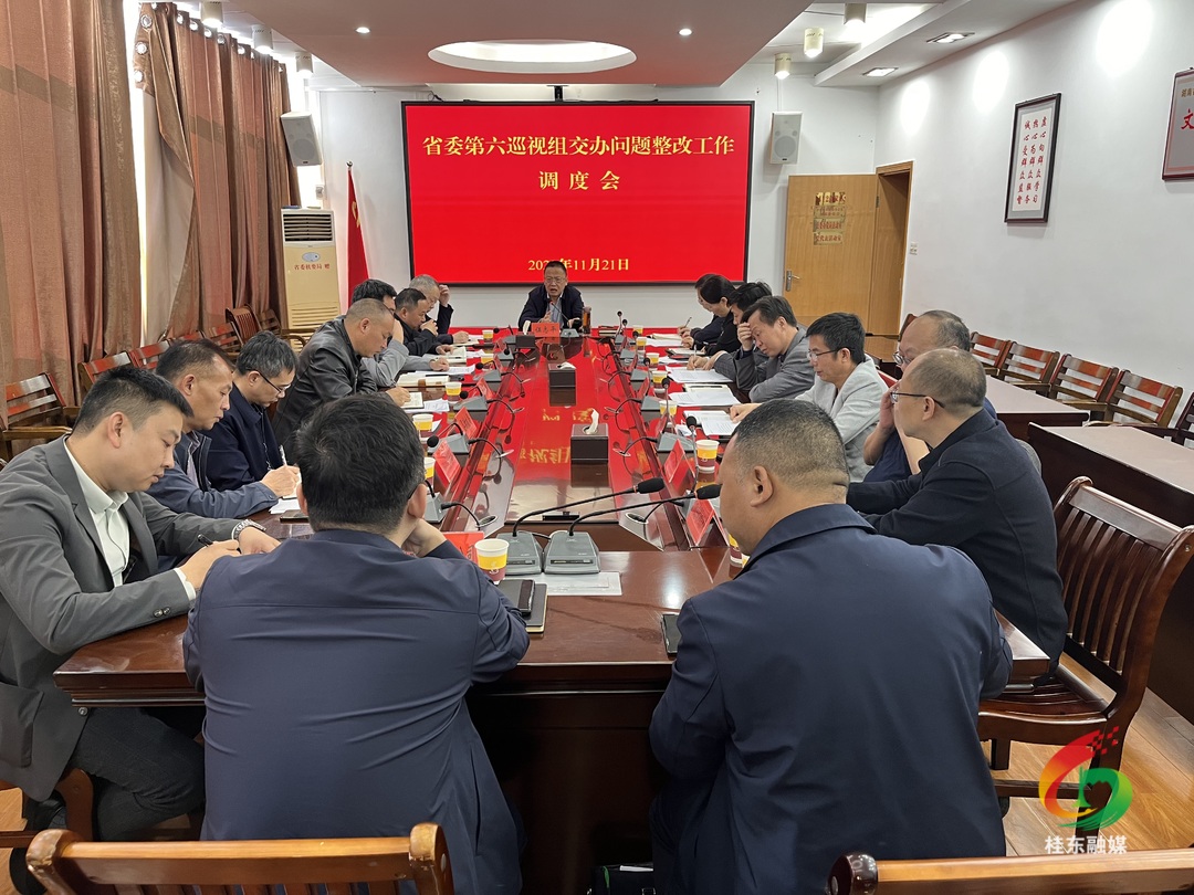 伍志平调度巡视组交办问题整改工作