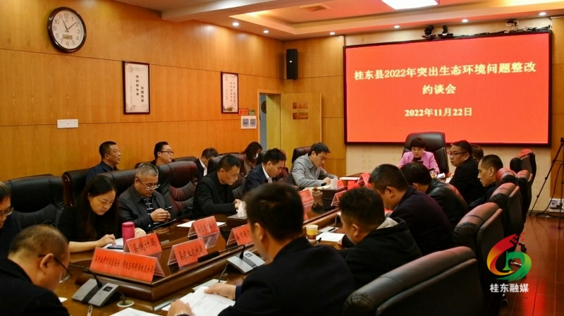 刘真调度突出环境问题整改等工作