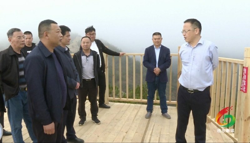 伍志平调度青竹村“两个基地”建设等工作
