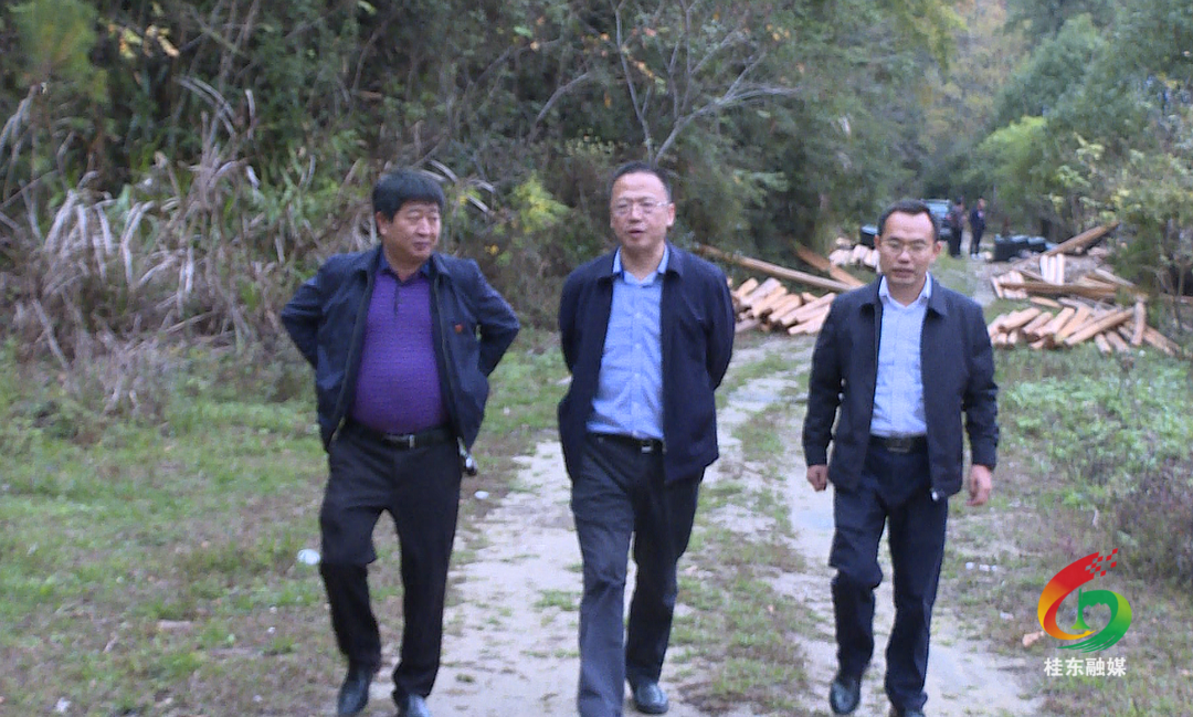 伍志平调研东山林场产业发展等工作