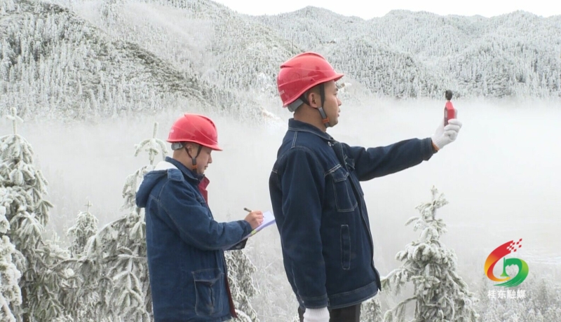 国网桂东供电公司：多措并举战寒潮保供电