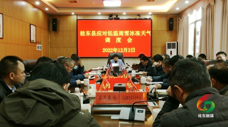 刘真调度低温雨雪冰冻天气应对工作