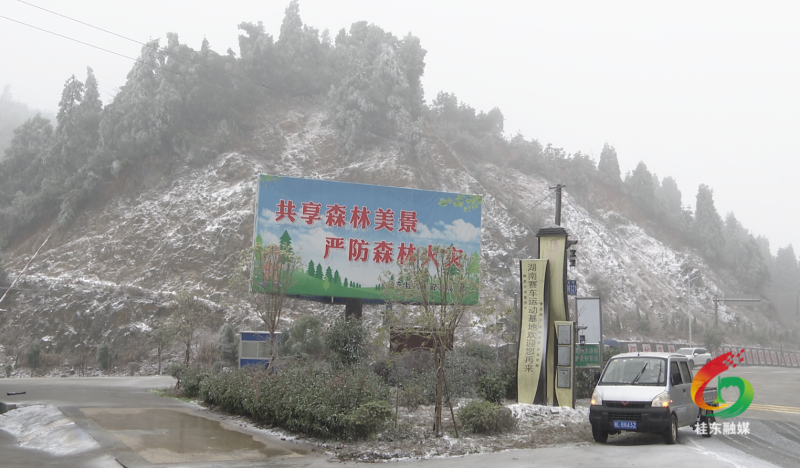 桂东今冬第一场雪迎来千树万树梨花开美景