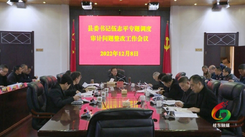 伍志平专题调度审计问题整改工作