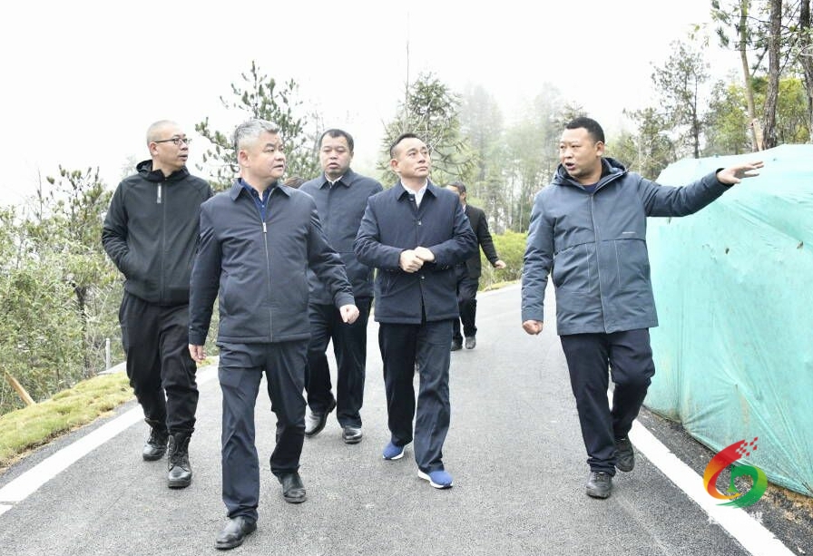 陈跃文来我县调研第二届旅发大会观摩项目