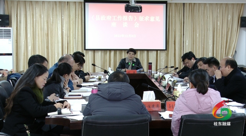 刘真主持召开座谈会 征求《县政府工作报告》意见