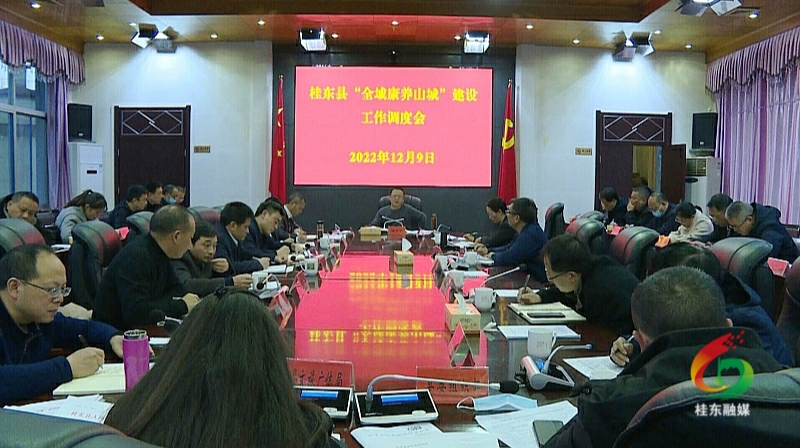 伍志平主持召开“全域康养山城”建设工作调度会