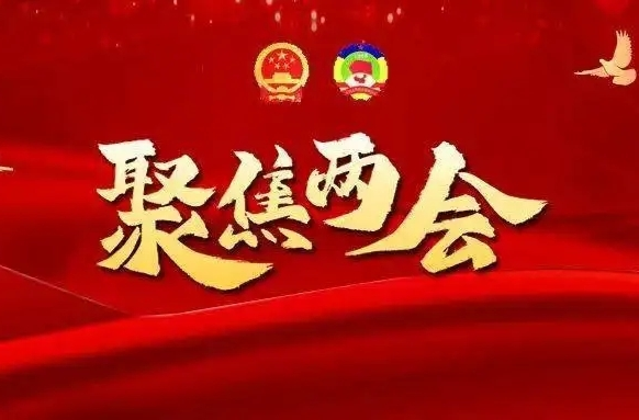 聚焦两会