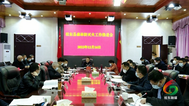 伍志平主持召开森林防灭火工作推进会
