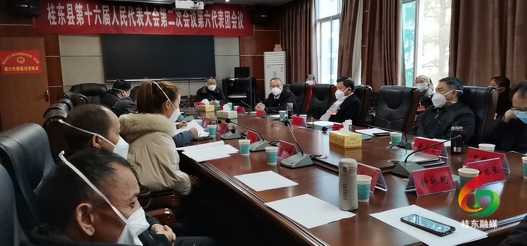 【聚焦两会】县十六届人大二次会议各代表团审议政府工作报告