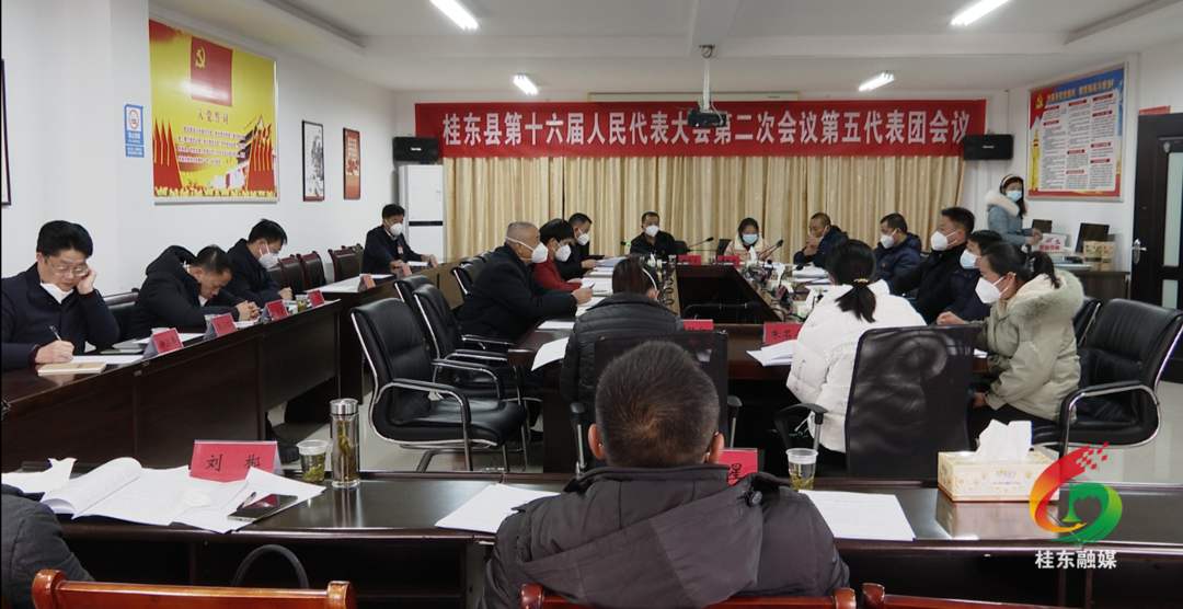 【聚焦两会】刘真参加县十六届人大二次会议第五代表团分组审议