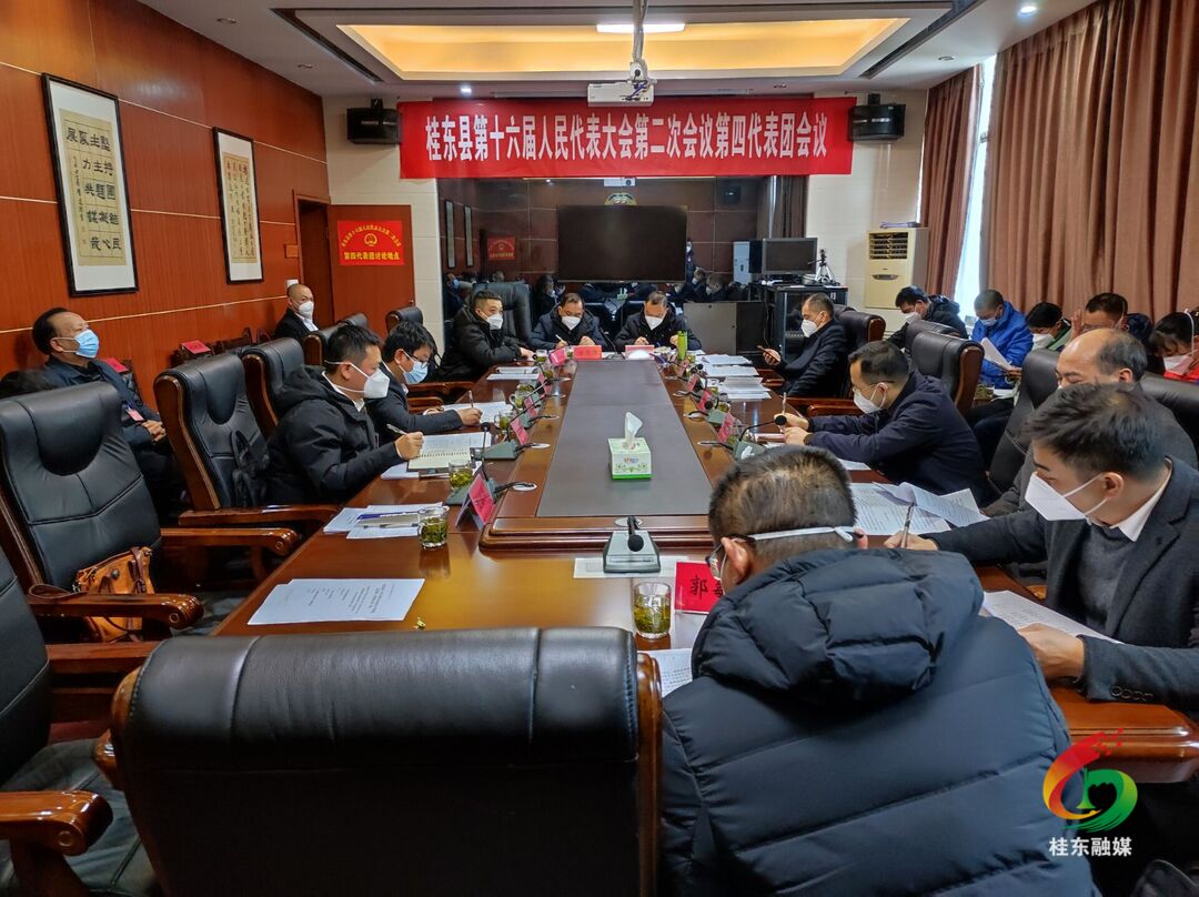 【聚焦两会】伍志平参加县十六届人大二次会议第二代表团分组审议