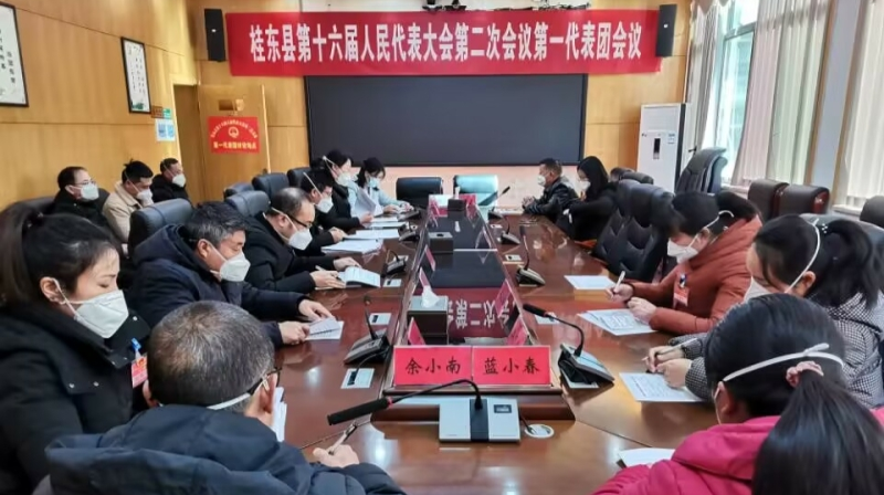 【聚焦两会】县人大代表继续开展分组审议