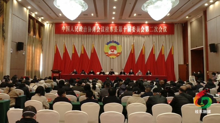 【聚焦两会】政协桂东县十届二次会议召开第二次全体会议