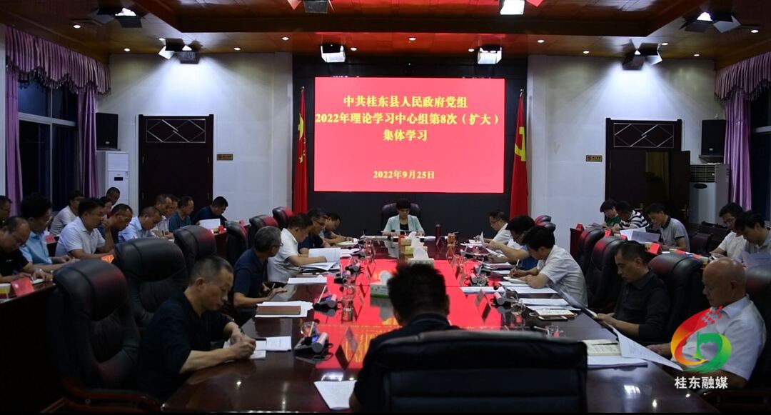 刘真主持召开县人民政府党组（扩大）会议