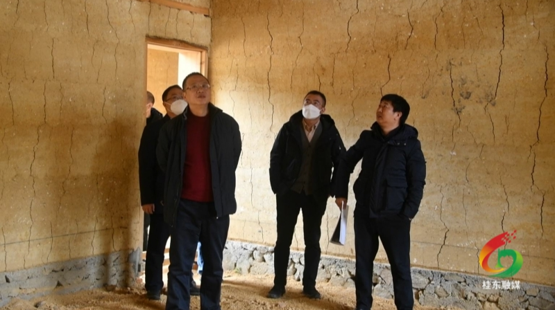 伍志平调研旅游项目建设和拆旧拆危工作