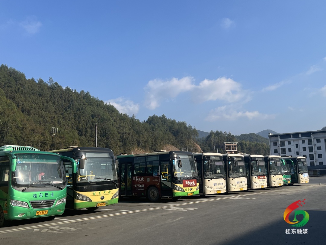 新春走基层 | 县汽车站多措并举备战春运 确保旅客顺利出行