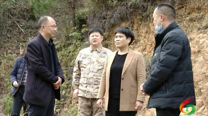 刘真调研青山乡彩洞民族村帮扶工作