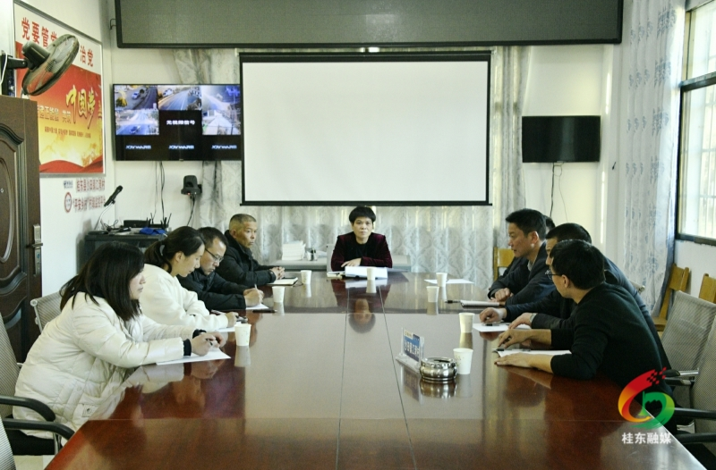刘真督导沙田镇江湾村乡村风貌整治提升工作