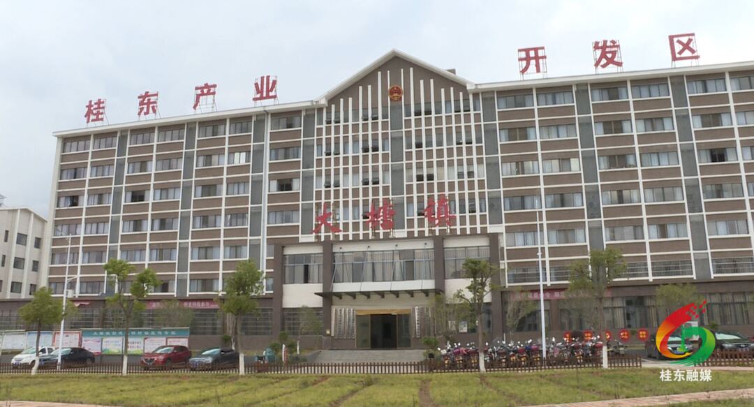 学思践悟二十大|大塘：贯彻党的二十大精神 谱写高质量发展新篇章