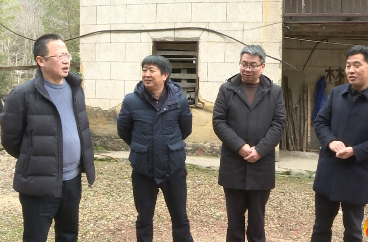 伍志平督导调研城乡风貌提质和项目建设工作