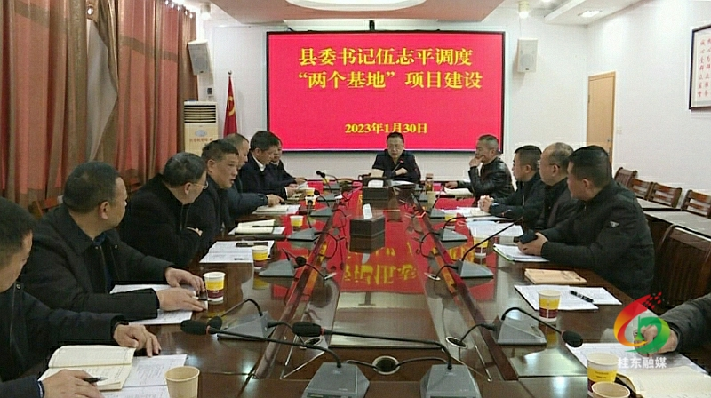 伍志平调度“两个基地”项目建设工作