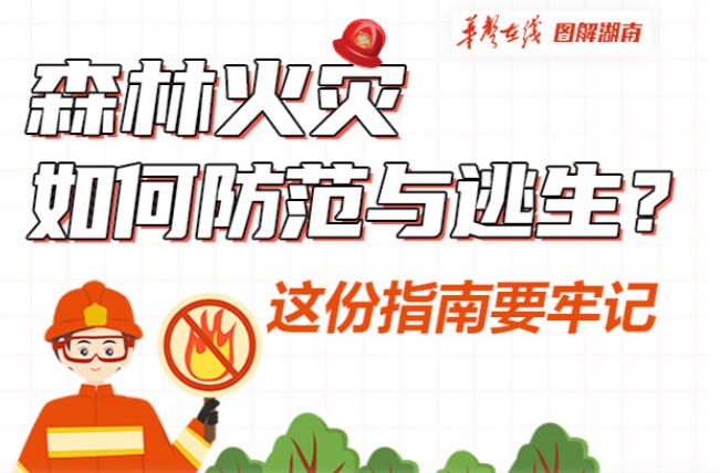 【科普动起来】图解|森林火灾如何防范与逃生？这份指南要牢记
