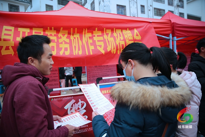 新春走基层|春风送岗位 就业暖人心