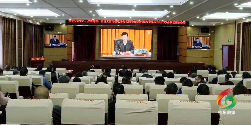 我县组织收看全市安全生产、应急管理、消防工作电视电话会议暨市安委会第2次全体成员（扩大）会议