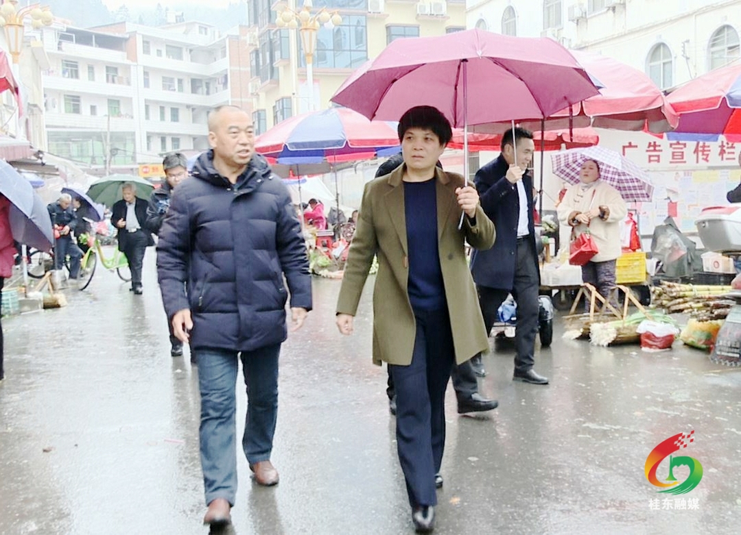 刘真检查安全生产和调研园区工作