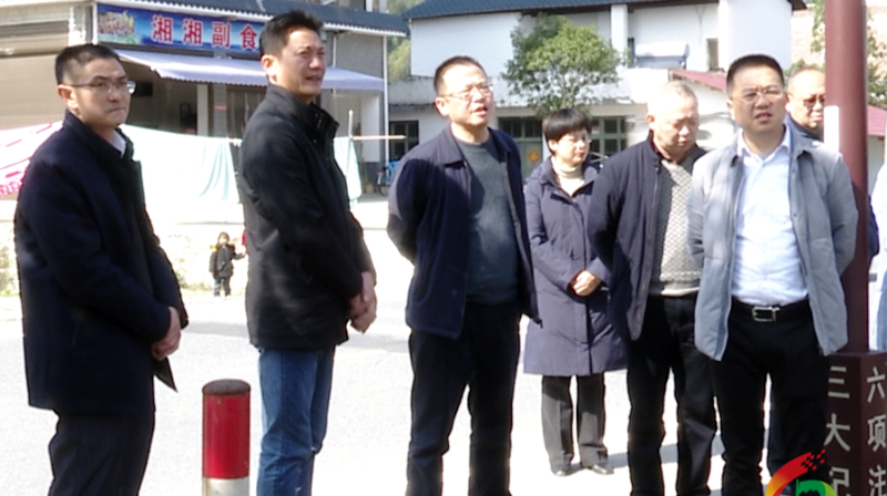 旅发进行时·城乡风貌大提质|伍志平带队督导城乡风貌提质工作