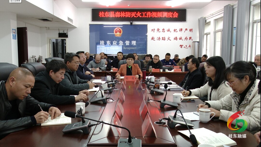 刘真调度森林防灭火工作