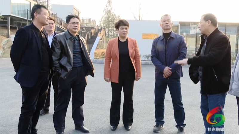 旅发进行时|刘真调研旅发大会重点项目建设和城乡风貌提质工作