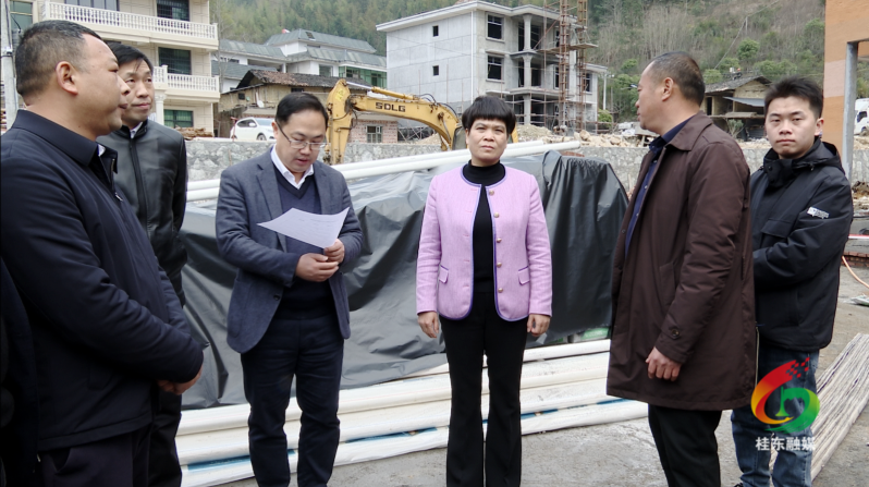 旅发进行时|刘真带队调研民宿项目建设工作