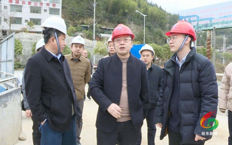 伍志平调研国粤康氧旅游项目建设工作