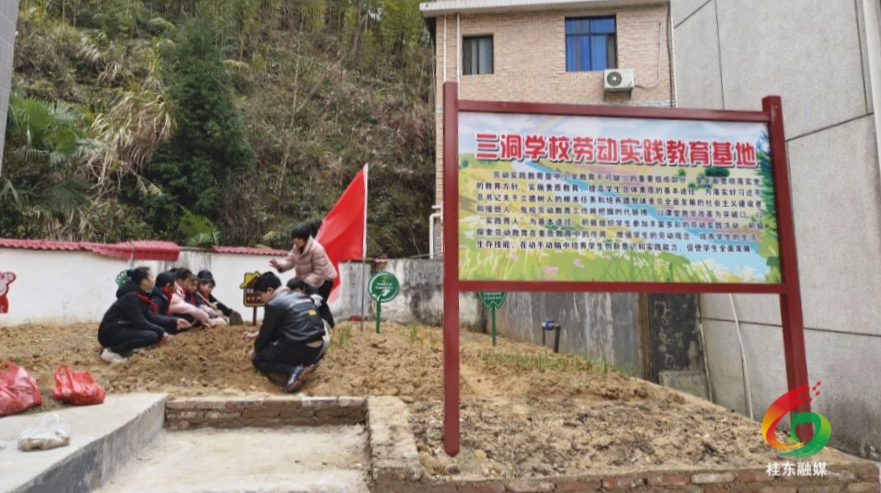 沤江镇三洞学校：开展劳动实践  助力学生成长