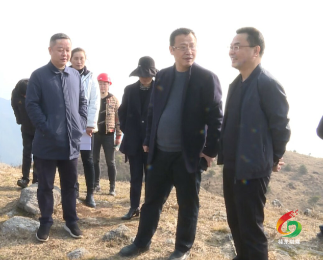 伍志平调度万洋山旅游度假区项目建设工作