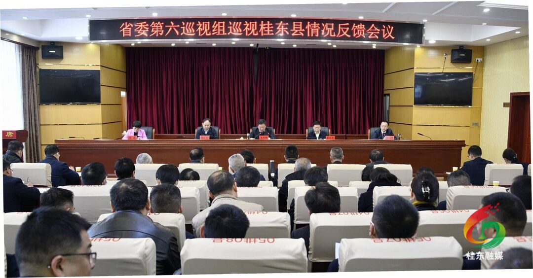 省委第六巡视组向桂东县委反馈巡视情况