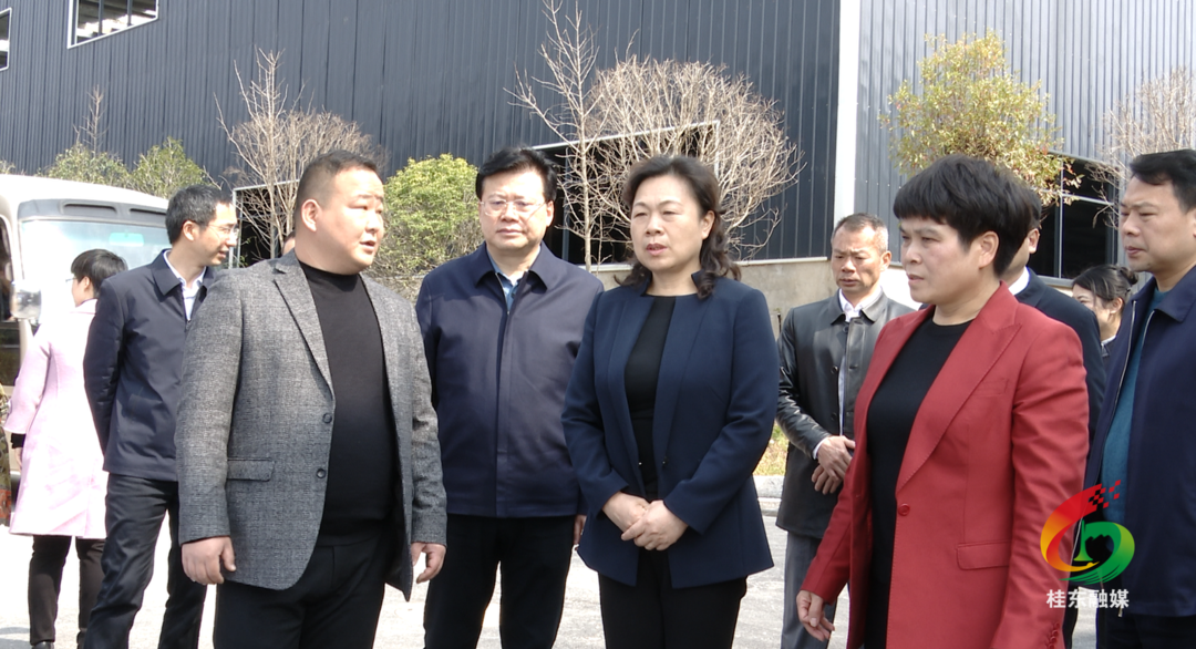 肖百灵到我县调研“两个基地”建设和中医药产业发展情况
