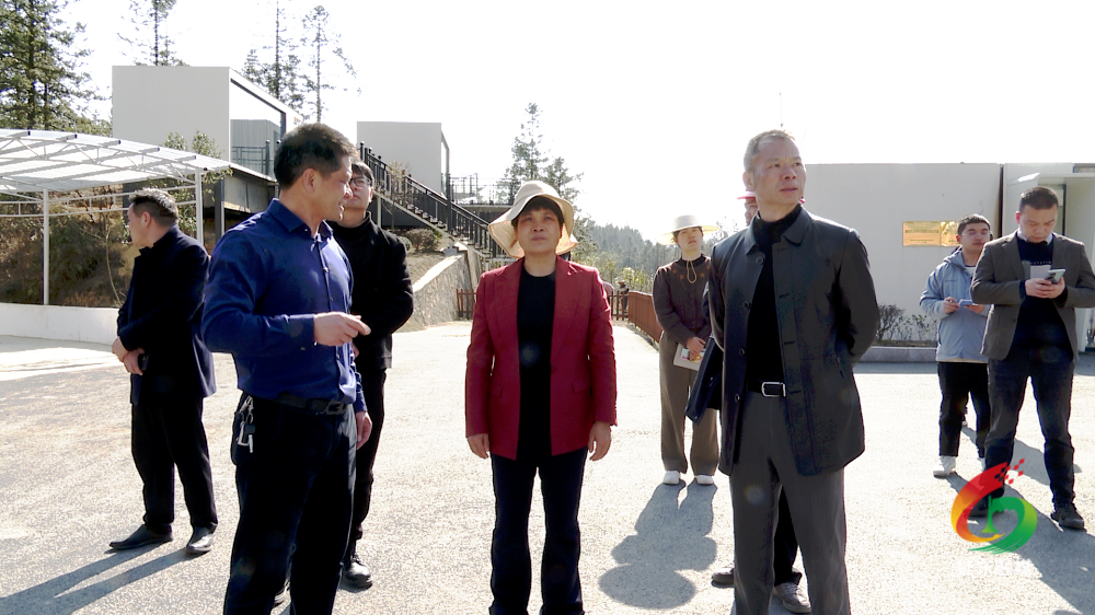 刘真调度“两个基地”项目建设工作