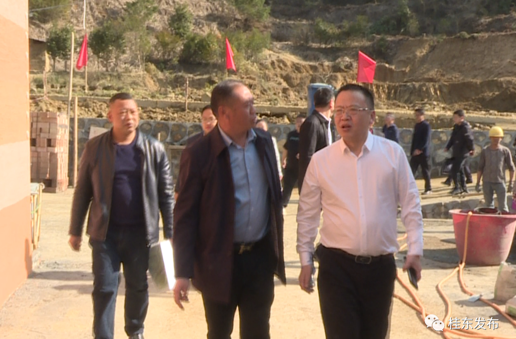 伍志平调研金洞康养旅游项目建设工作