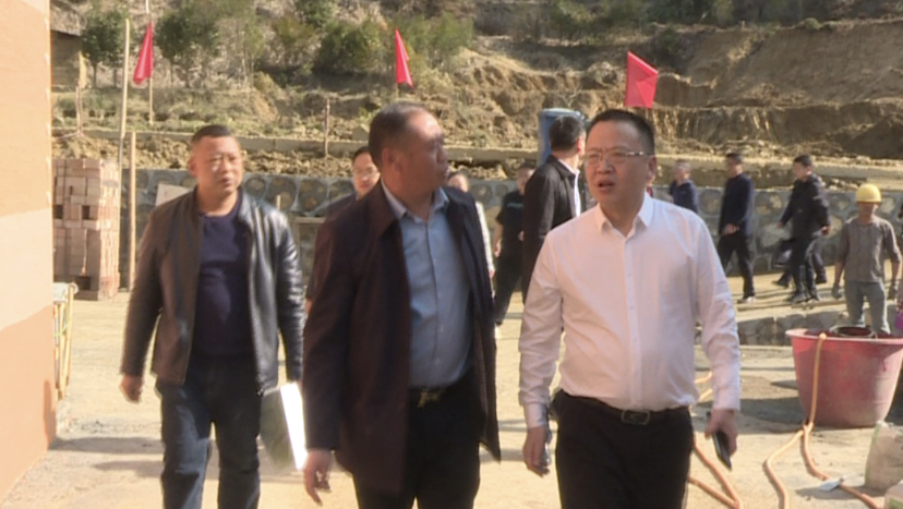 伍志平调研金洞康养旅游项目建设工作