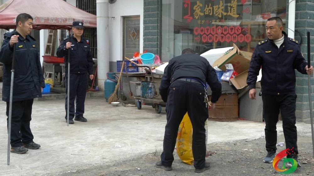 我县多部门联合开展流浪狗专项整治行动