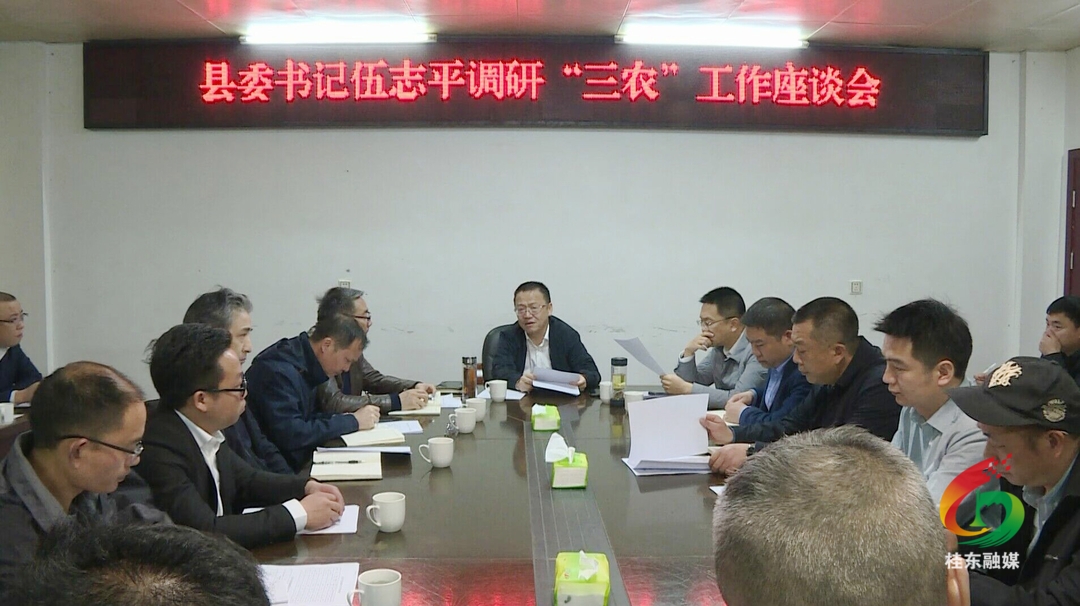伍志平调研清泉桥头茶叶产业发展工作