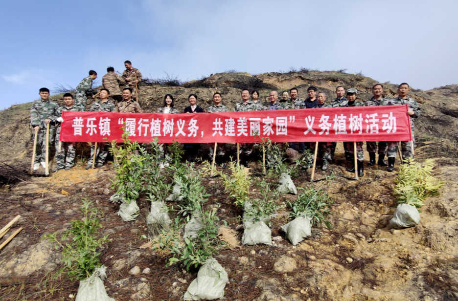 我县各乡镇积极开展全民义务植树活动