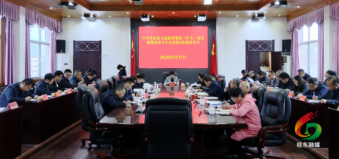 刘真主持召开县政府党组（扩大）会议